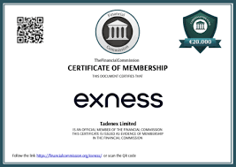 Download The Exness App For Trading Success Download The Exness App For Trading Success